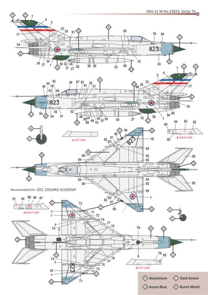 MiG-21 Vadbene oznake 1:48