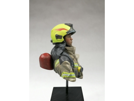 Firefighter bust